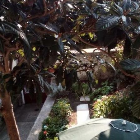 Casa Vacanze Poison Triest Zewnętrze zdjęcie