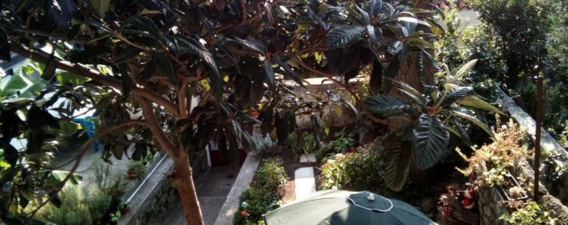 Casa Vacanze Poison Triest Zewnętrze zdjęcie